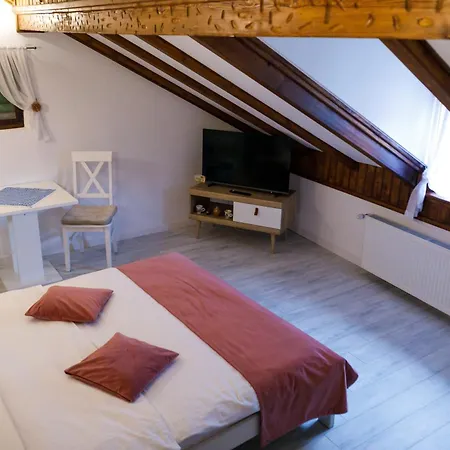 Apartment Gong Sibiu