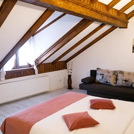 Gong Apartment Sibiu